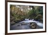 Stream Flowing Through Woodland in England-Clive Nolan-Framed Photographic Print