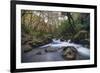 Stream Flowing Through Woodland in England-Clive Nolan-Framed Photographic Print