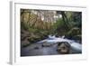 Stream Flowing Through Woodland in England-Clive Nolan-Framed Photographic Print