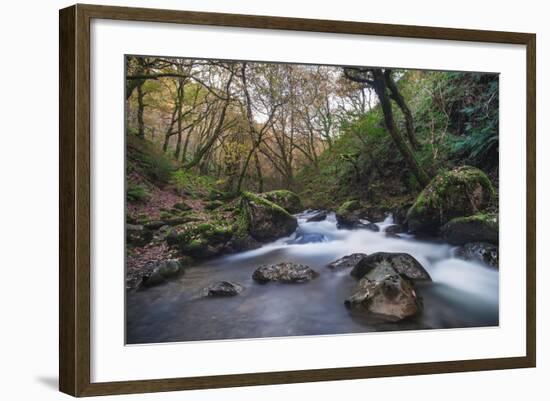 Stream Flowing Through Woodland in England-Clive Nolan-Framed Photographic Print