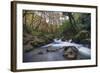 Stream Flowing Through Woodland in England-Clive Nolan-Framed Photographic Print