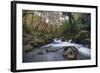 Stream Flowing Through Woodland in England-Clive Nolan-Framed Photographic Print