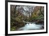 Stream Flowing Through Woodland in England-Clive Nolan-Framed Photographic Print