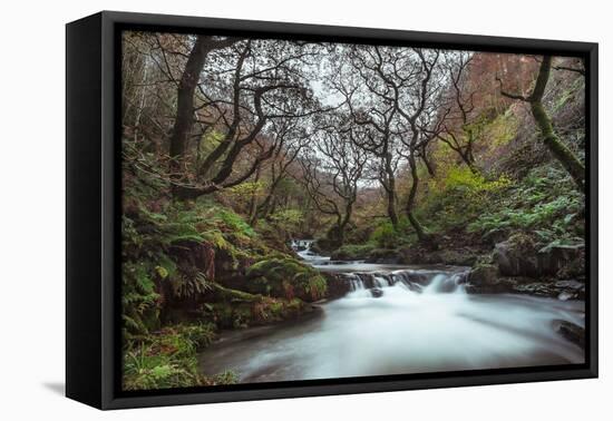 Stream Flowing Through Woodland in England-Clive Nolan-Framed Stretched Canvas