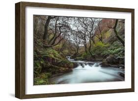 Stream Flowing Through Woodland in England-Clive Nolan-Framed Photographic Print