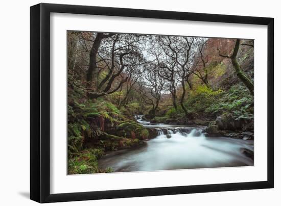 Stream Flowing Through Woodland in England-Clive Nolan-Framed Photographic Print