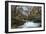 Stream Flowing Through Woodland in England-Clive Nolan-Framed Photographic Print