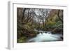 Stream Flowing Through Woodland in England-Clive Nolan-Framed Photographic Print