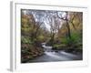 Stream Flowing Through Woodland in England-Clive Nolan-Framed Photographic Print