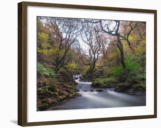 Stream Flowing Through Woodland in England-Clive Nolan-Framed Photographic Print