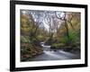 Stream Flowing Through Woodland in England-Clive Nolan-Framed Photographic Print