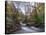 Stream Flowing Through Woodland in England-Clive Nolan-Stretched Canvas