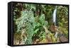 Stream from Mount Roraima in Venezuela-zanskar-Framed Stretched Canvas