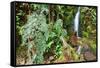 Stream from Mount Roraima in Venezuela-zanskar-Framed Stretched Canvas