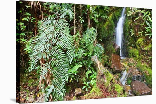 Stream from Mount Roraima in Venezuela-zanskar-Stretched Canvas