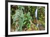 Stream from Mount Roraima in Venezuela-zanskar-Framed Photographic Print