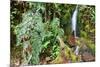 Stream from Mount Roraima in Venezuela-zanskar-Mounted Photographic Print