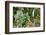 Stream from Mount Roraima in Venezuela-zanskar-Framed Photographic Print