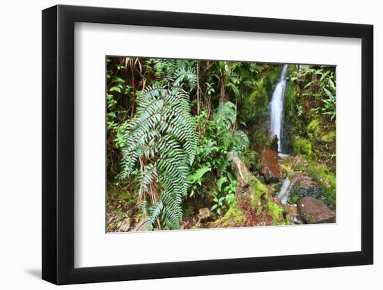 Stream from Mount Roraima in Venezuela-zanskar-Framed Photographic Print