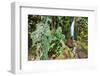 Stream from Mount Roraima in Venezuela-zanskar-Framed Photographic Print