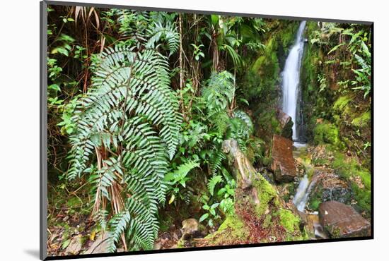 Stream from Mount Roraima in Venezuela-zanskar-Mounted Photographic Print