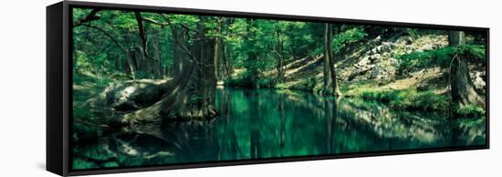 Stream in a Forest, Honey Creek, Texas, USA-null-Framed Stretched Canvas