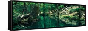 Stream in a Forest, Honey Creek, Texas, USA-null-Framed Stretched Canvas