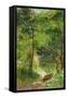 Stream in a Wood, 1883-Walter Frederick Osborne-Framed Stretched Canvas