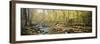 Stream in Autumn, Northeast Kingdom, Vermont, USA-Walter Bibikow-Framed Photographic Print