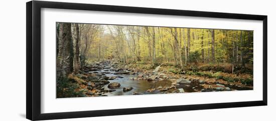 Stream in Autumn, Northeast Kingdom, Vermont, USA-Walter Bibikow-Framed Photographic Print
