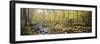 Stream in Autumn, Northeast Kingdom, Vermont, USA-Walter Bibikow-Framed Photographic Print