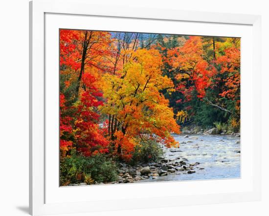 Stream in Autumn Woods-null-Framed Art Print