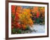 Stream in Autumn Woods-null-Framed Art Print