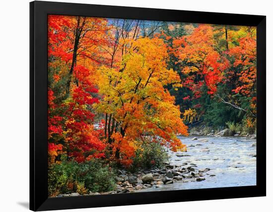 Stream in Autumn Woods-null-Framed Art Print