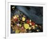 Stream in Fall, Maine, USA-Jerry & Marcy Monkman-Framed Photographic Print