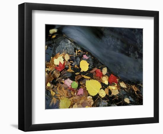 Stream in Fall, Maine, USA-Jerry & Marcy Monkman-Framed Photographic Print