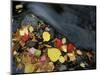 Stream in Fall, Maine, USA-Jerry & Marcy Monkman-Mounted Photographic Print