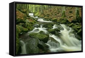 Stream in Forest with Moss Covered Rocks in Primeval-null-Framed Stretched Canvas