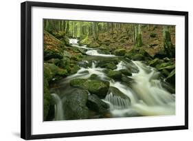 Stream in Forest with Moss Covered Rocks in Primeval-null-Framed Photographic Print