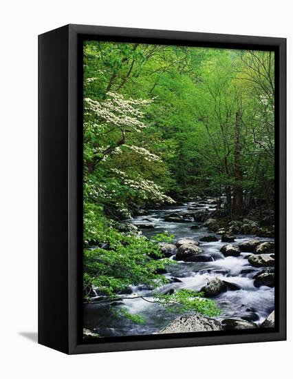 Stream in Lush Forest-Ron Watts-Framed Stretched Canvas