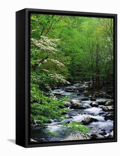 Stream in Lush Forest-Ron Watts-Framed Stretched Canvas