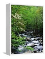 Stream in Lush Forest-Ron Watts-Framed Stretched Canvas