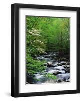 Stream in Lush Forest-Ron Watts-Framed Premium Photographic Print