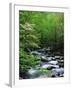 Stream in Lush Forest-Ron Watts-Framed Premium Photographic Print