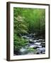 Stream in Lush Forest-Ron Watts-Framed Premium Photographic Print