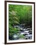 Stream in Lush Forest-Ron Watts-Framed Premium Photographic Print