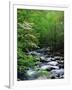 Stream in Lush Forest-Ron Watts-Framed Premium Photographic Print