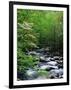 Stream in Lush Forest-Ron Watts-Framed Photographic Print