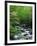 Stream in Lush Forest-Ron Watts-Framed Photographic Print