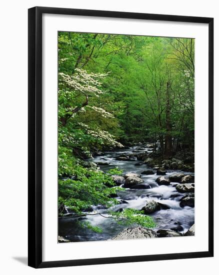 Stream in Lush Forest-Ron Watts-Framed Photographic Print